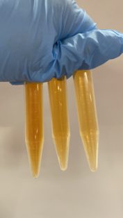 picture of 3 tubes comparing nitrogen dioxide equilibrium