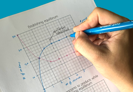 hand drawn graph of equilibrium from modelling activity