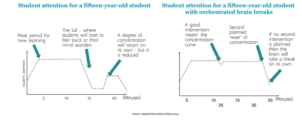 graphs-of-student-concentration