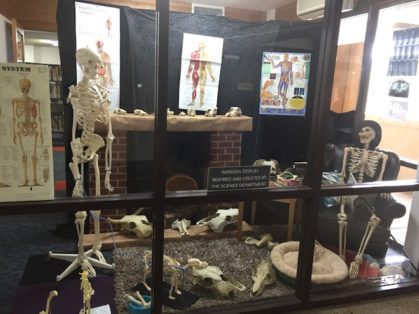 science lab decoration display