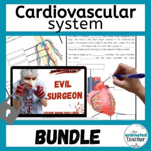 cardiovascular system activities bundle