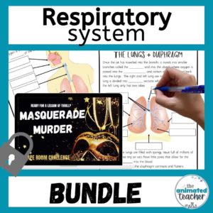 Respiratory System Activities Bundle