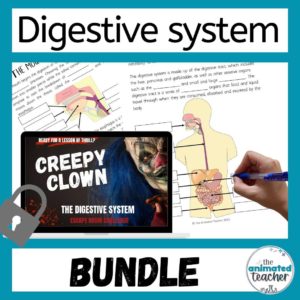 Digestive System Activities Bundle