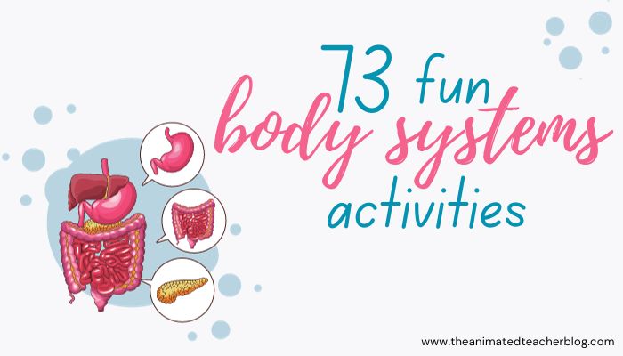 human body systems activities ideas