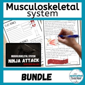 musculoskeletal activities bundle