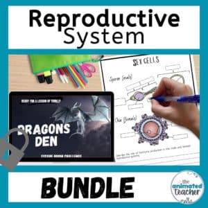 reproductive system activities