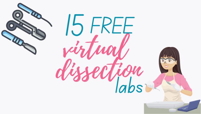 virtual dissection labs