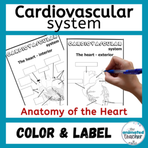 heart label and color