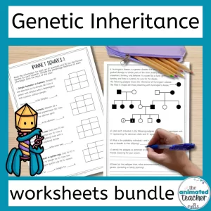 genetics practice problems worksheet bundle