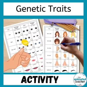 introduction to genetics activity