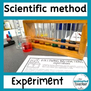 following instructions experiment