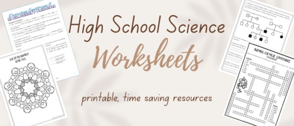 high school science worksheets printable