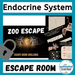 endocrine system activity escape room